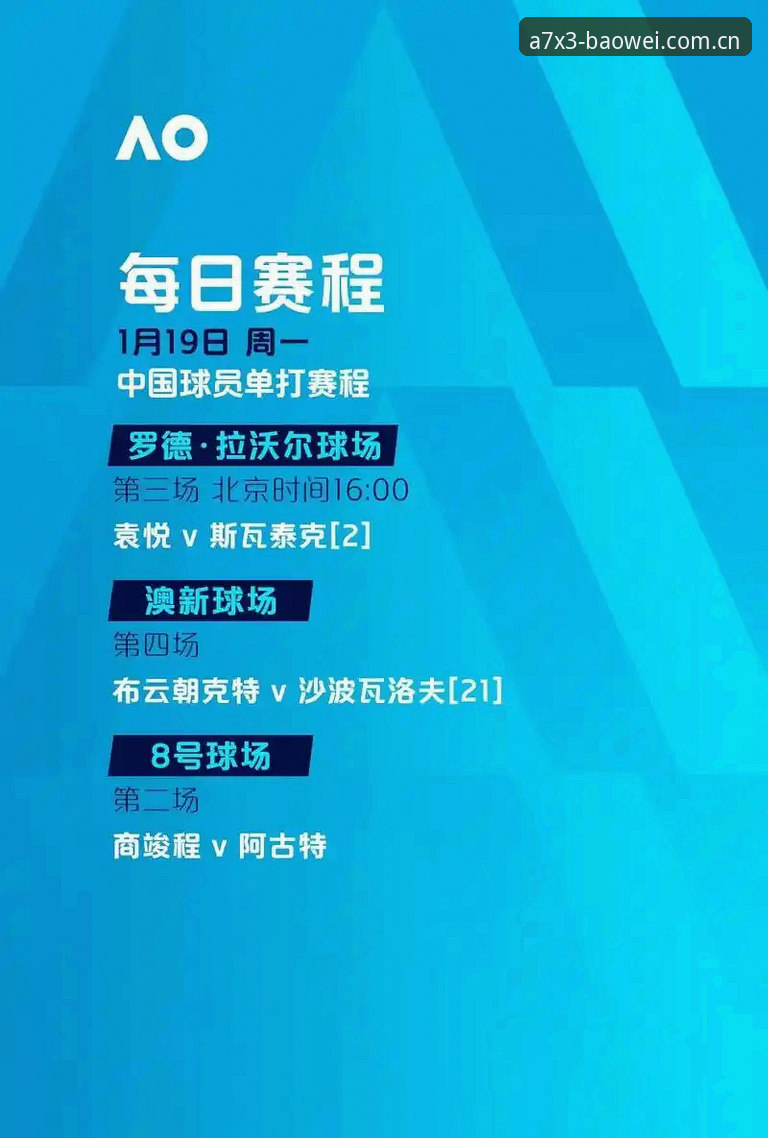 宝威沉浸式观赛深度评测：实战派用户的首选方案